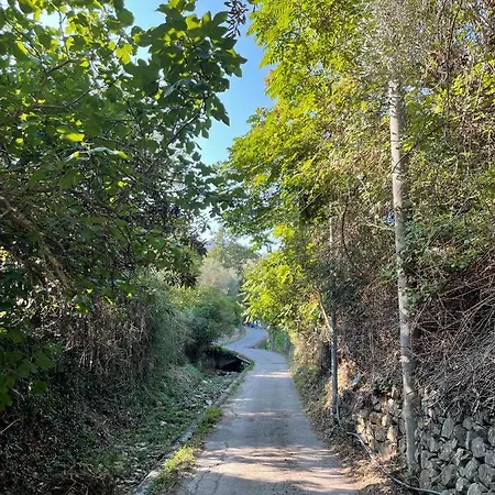 La Casa Dell'ulivo 임페리아