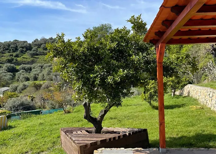 La Casa Dell'ulivo Сasa de vacaciones