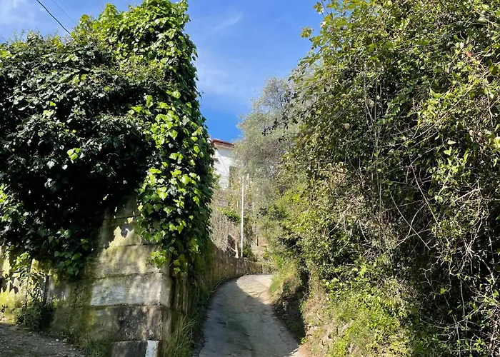 La Casa Dell'ulivo *