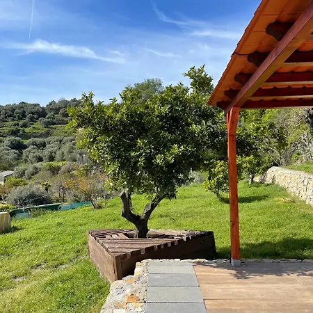 La Casa Dell'ulivo Ferienhaus