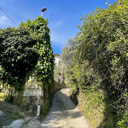 La Casa Dell'ulivo *